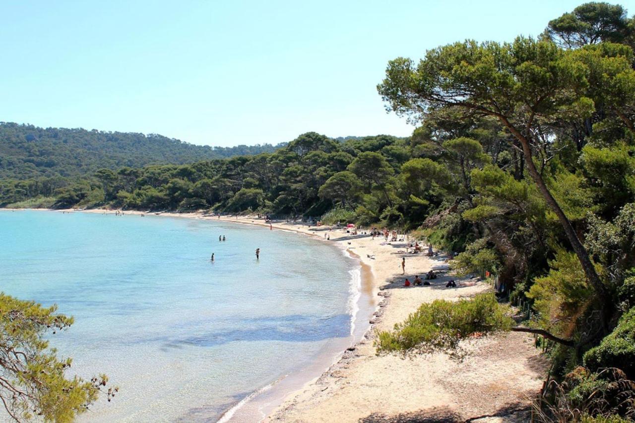 Le Jardin Des Lices Διαμέρισμα Τουλόν Εξωτερικό φωτογραφία